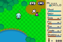 Tiny Chao Garden.png