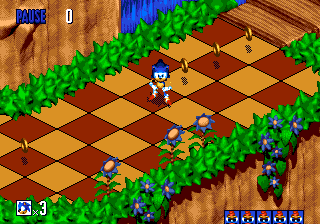 Sonic3D MD Paused.png