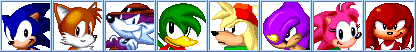SonictheFighters Model2 Sprite Mugshots.png