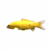SonicFrontiers Fish-o-pedia 09.png