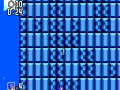 Sonic2 SMS Bug SHZ GoUnderWall2.png