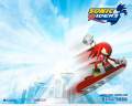 Sonic Riders USWP003 S 1600x1280.jpg
