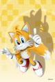 SonicSkins tails02.png