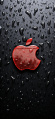 Apple Logo Raindrops31612 rectangle 20240304 205218 394 55.jpg