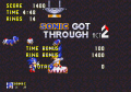 Sonic3&K MD Comparison LRZ3 ResultsTally.png
