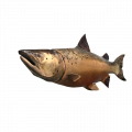 SonicFrontiers Fish-o-pedia 53.png