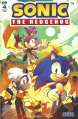IDW Sonic The Hedgehog -4 CoverB.jpg