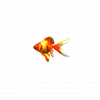 SonicFrontiers Fish-o-pedia 40.png
