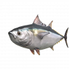 SonicFrontiers Fish-o-pedia 22.png