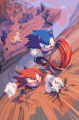 IDW Sonic Issue3 VariantTextless Cover.jpg