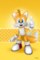 SonicSkins tails01.png