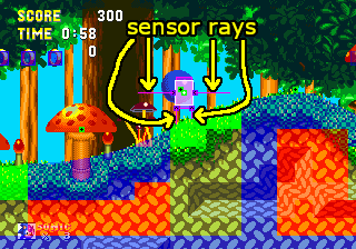Sonic-collision-sensor-rays.png