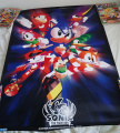 Sonic the Fighters Poster.jpeg