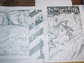 Sonic Spinball Greg Martin covers.jpg