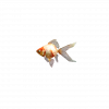 SonicFrontiers Fish-o-pedia 50.png