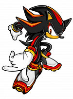 All the Sonic characters.  Freedom fighters, Sonic and shadow, Sonic heroes