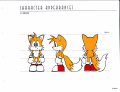 SA Stylebook Tails Concept2.png