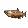 SonicFrontiers Fish-o-pedia 53.png