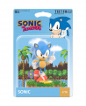 Totaku 10 Sonic box.jpg