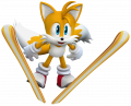 Wintergames tails.png