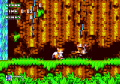Sonic31993-11-03 MD AIZ1 TailsKnuckles.png