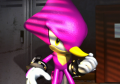 SonicGemsCollection Museum Item 239.png
