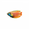 SonicFrontiers Fish-o-pedia 01.png