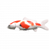 SonicFrontiers Fish-o-pedia 19.png