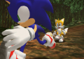 SonicGemsCollection Museum Item 165.png