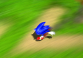 SonicGemsCollection Museum Item 203.png