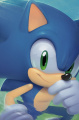 Sonic the hedgehog idw collection volume 1 full art.jpg