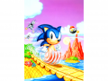 SSS SONICG .png